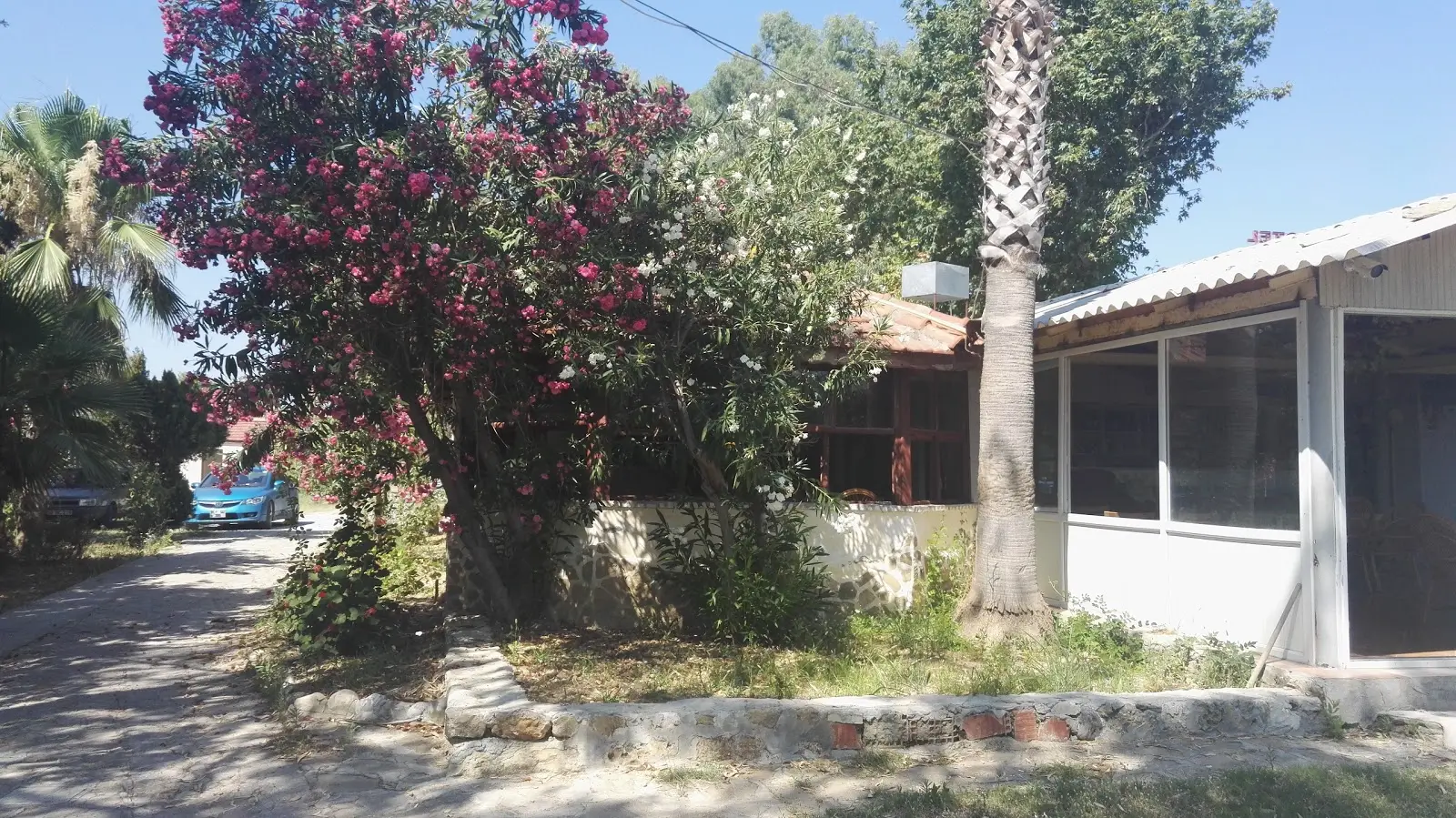 Osay Kamping - Fotoğraf 4