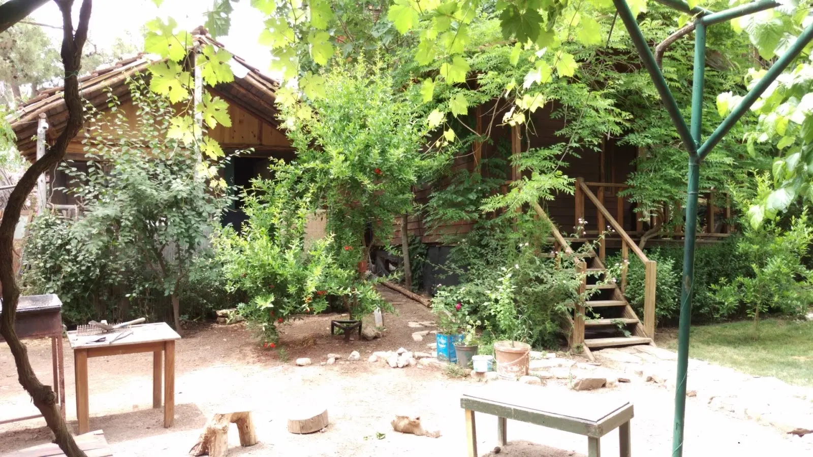 Eski Beyaz Bungalov - Görsel 1