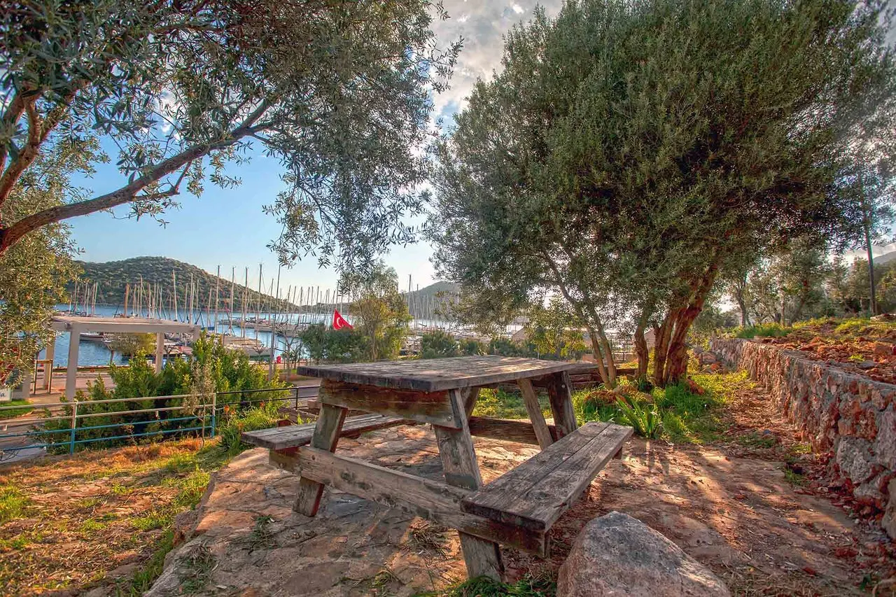 Kaş Evren Camping - Fotoğraf 4