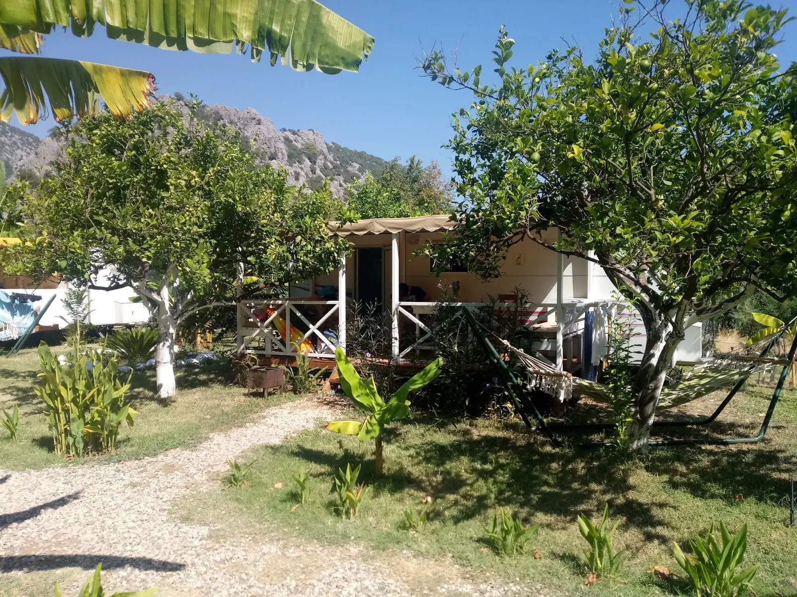 Bellerofon Camping Fotoğrafı