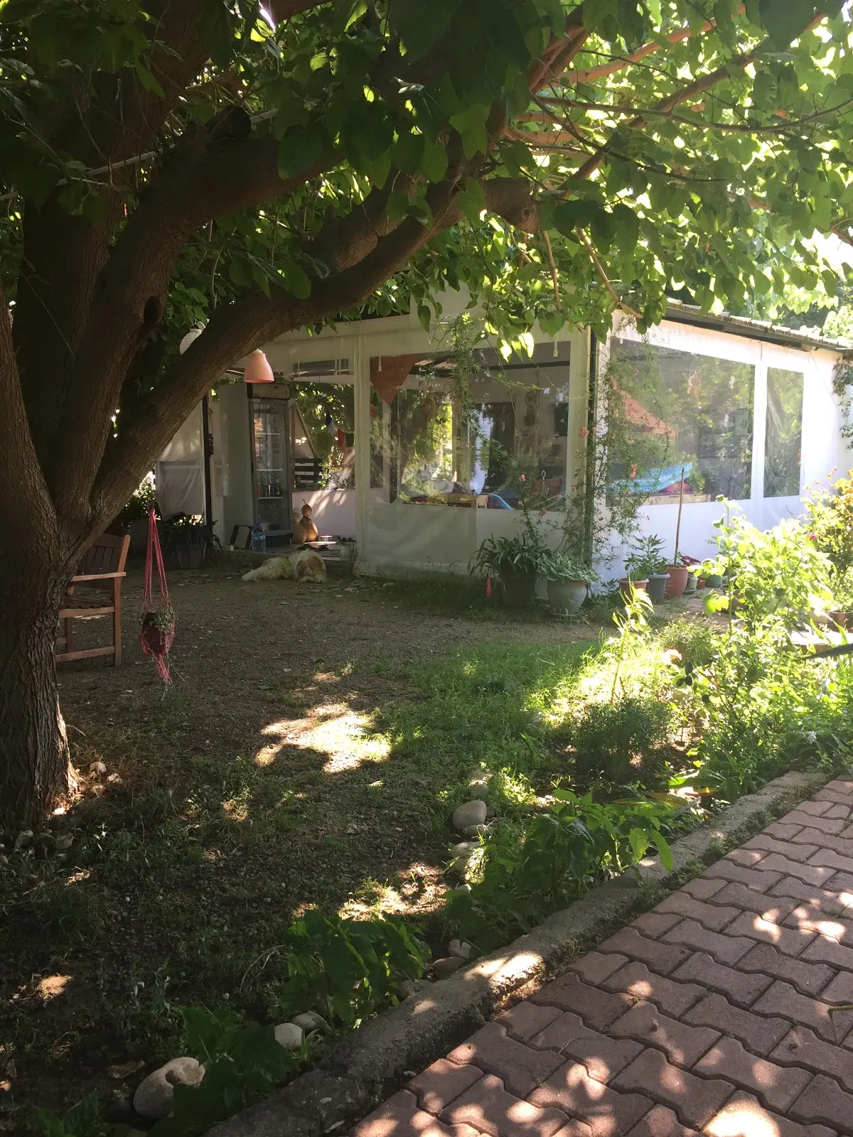 Çıralı Arkadaşlar Pansiyon & Camping - Görsel 1