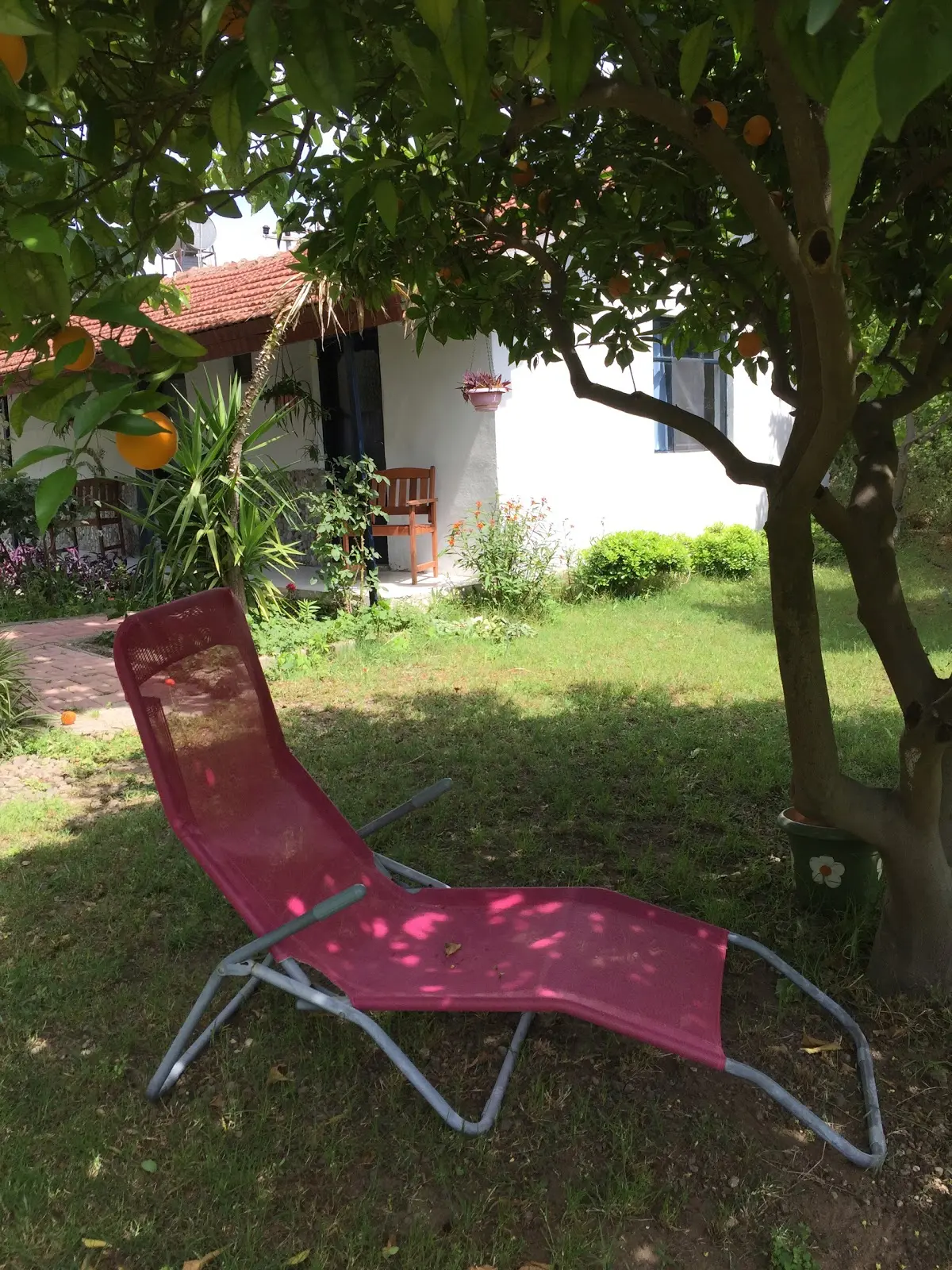 Çıralı Arkadaşlar Pansiyon & Camping - Fotoğraf 2