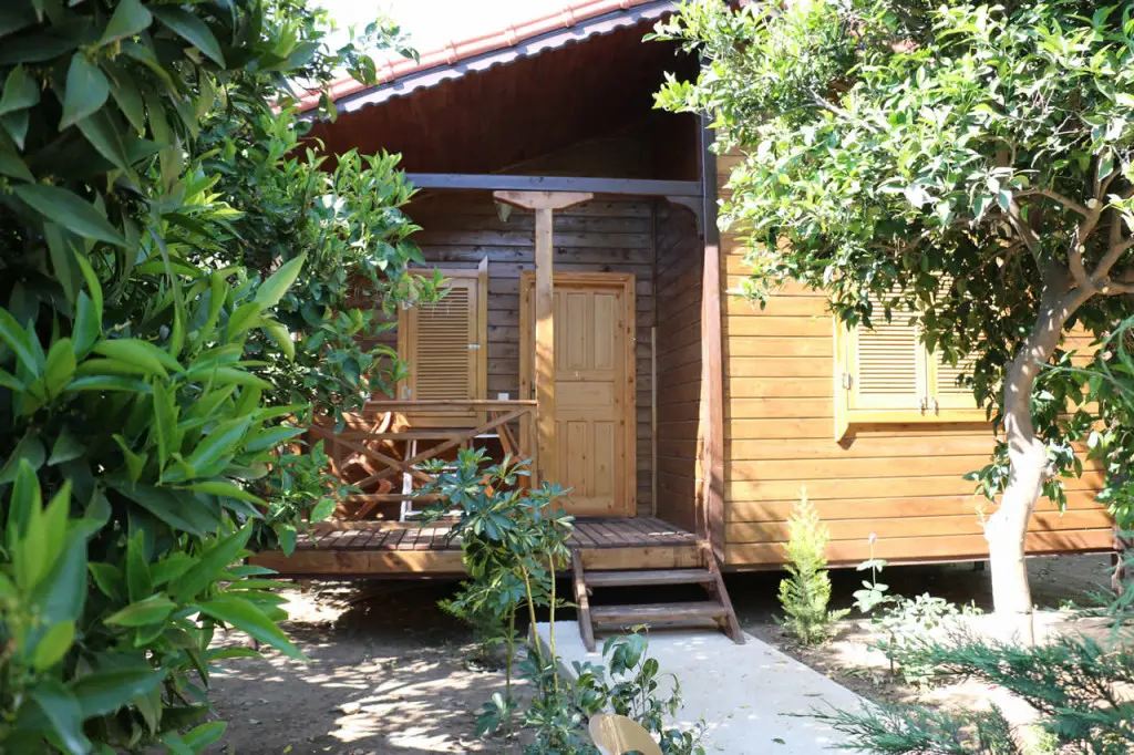 Çıralı Arkadaşlar Pansiyon & Camping - Fotoğraf 5