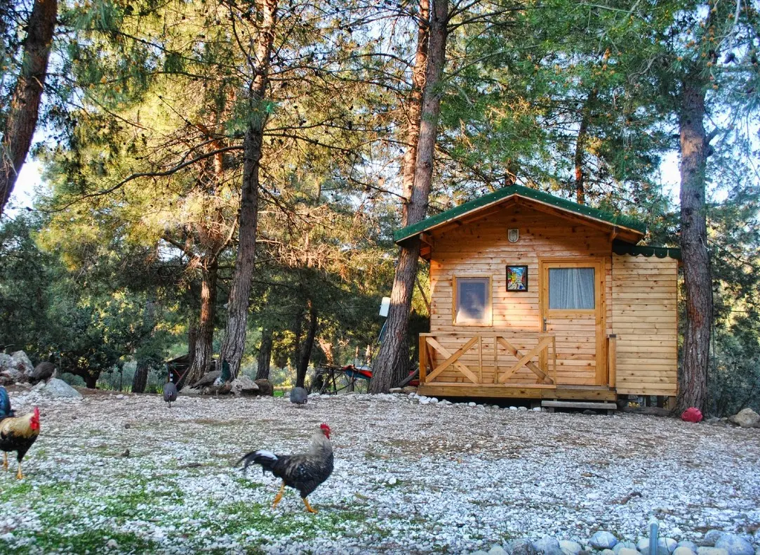 Ölüdeniz Doğa Camping - Fotoğraf 2
