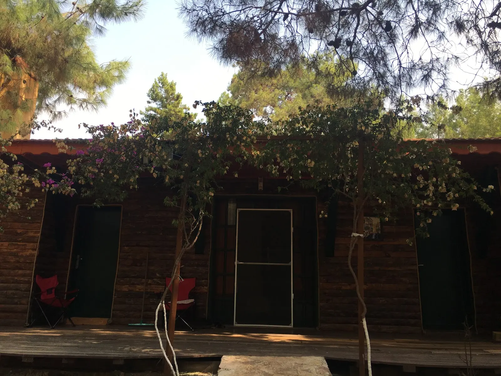 Ölüdeniz Doğa Camping - Fotoğraf 4