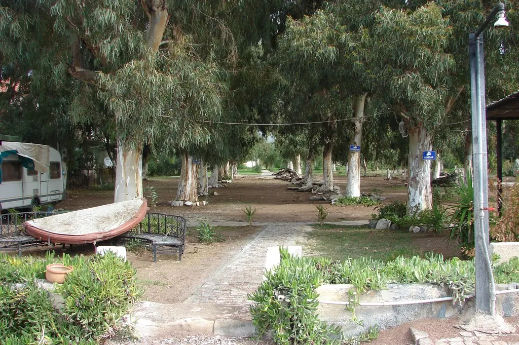 Altınkum Camping & Restoran - Fotoğraf 3