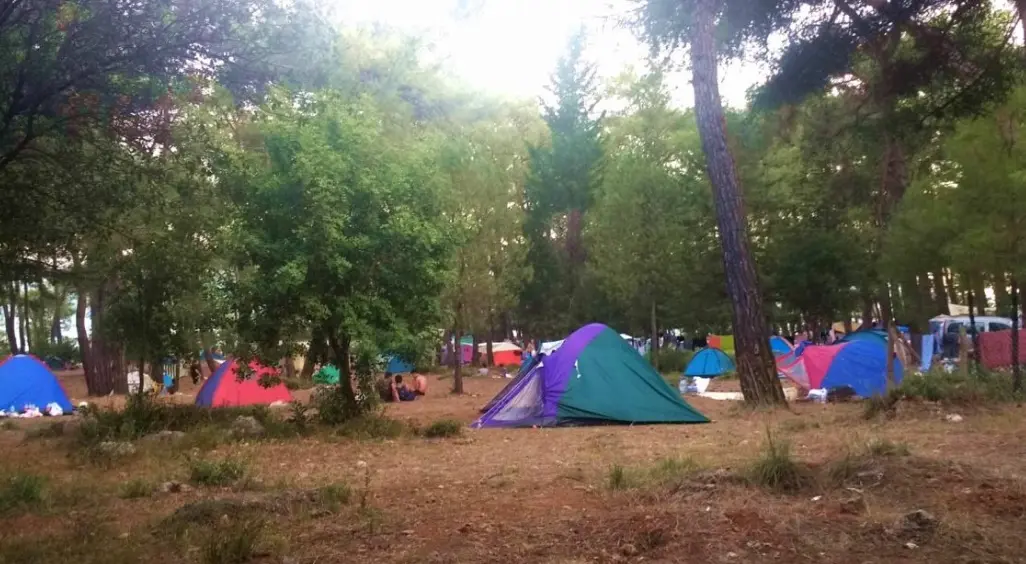 Akyaka Orman Kampı Fotoğrafı
