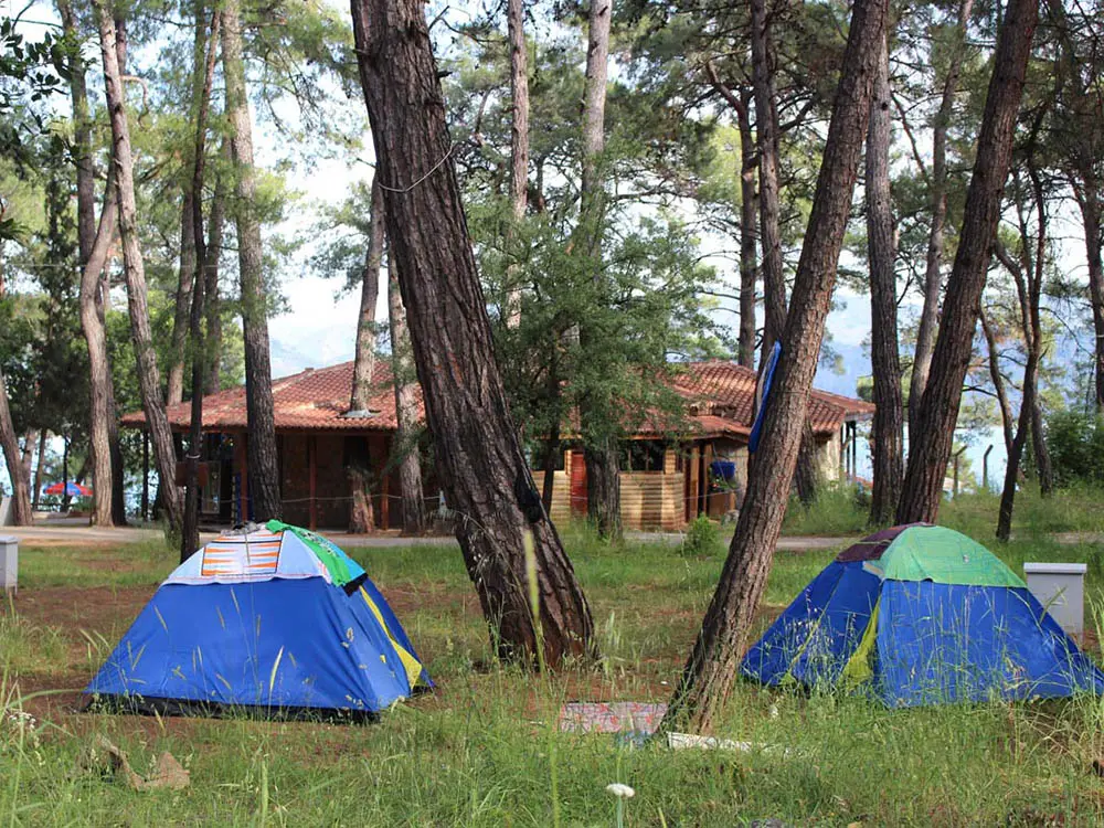 Akyaka Orman Kampı - Fotoğraf 3