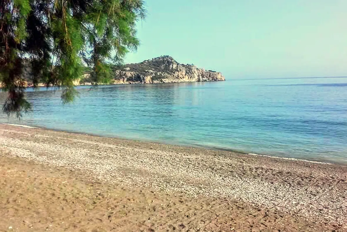 Gülbahar Pansiyon & Camping - Fotoğraf 4