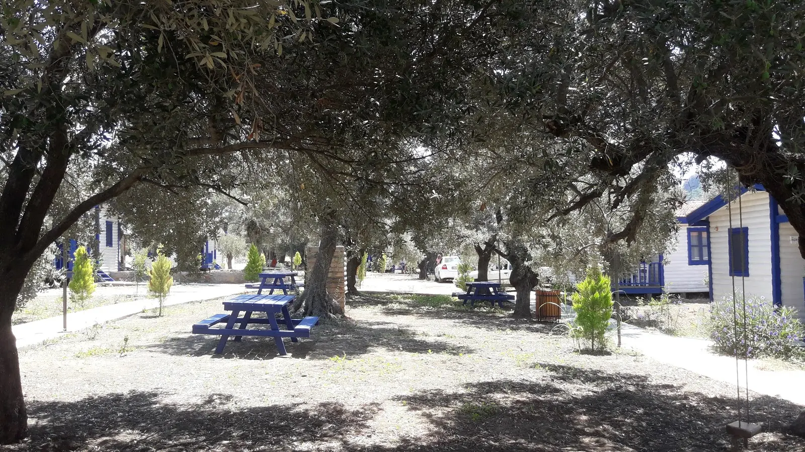 Ovabükü Kamp Alanı - Fotoğraf 2