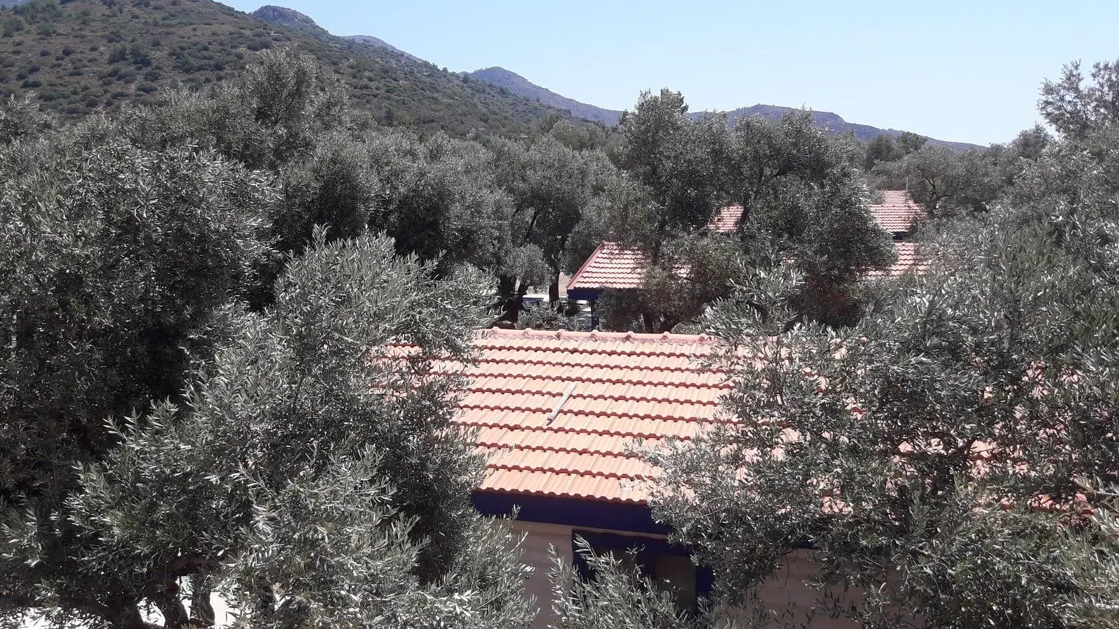 Ovabükü Kamp Alanı - Fotoğraf 3