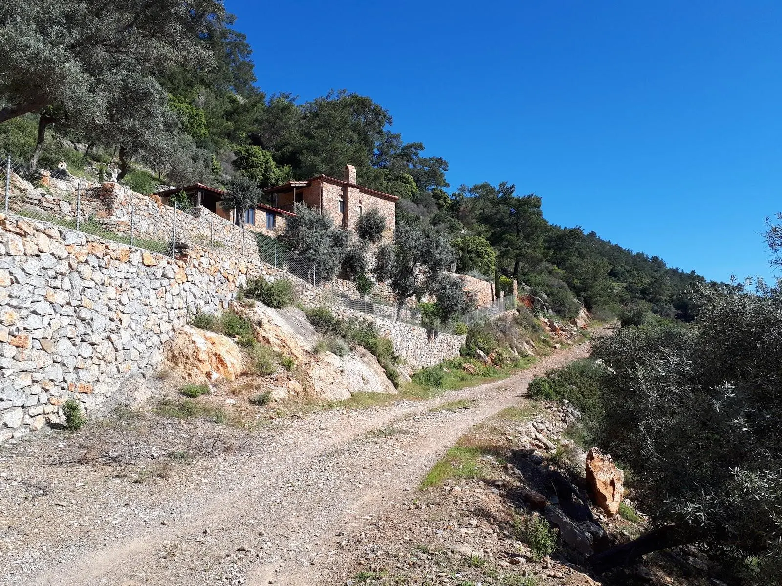 Ilgın Koyu Kamp - Fotoğraf 3