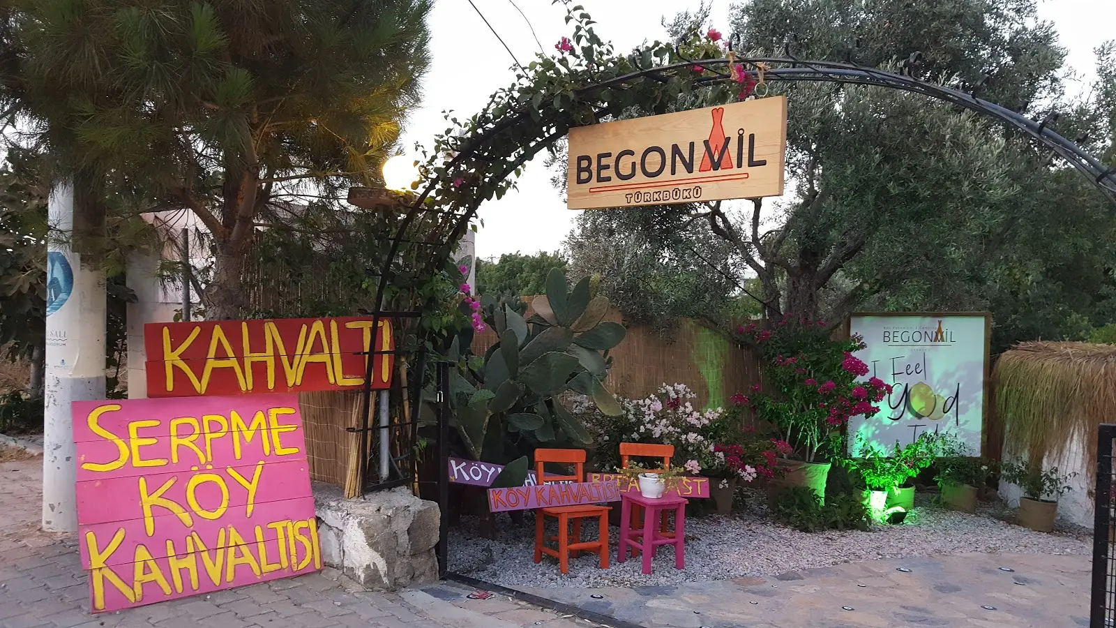 Begonvil Türkbükü - Fotoğraf 2