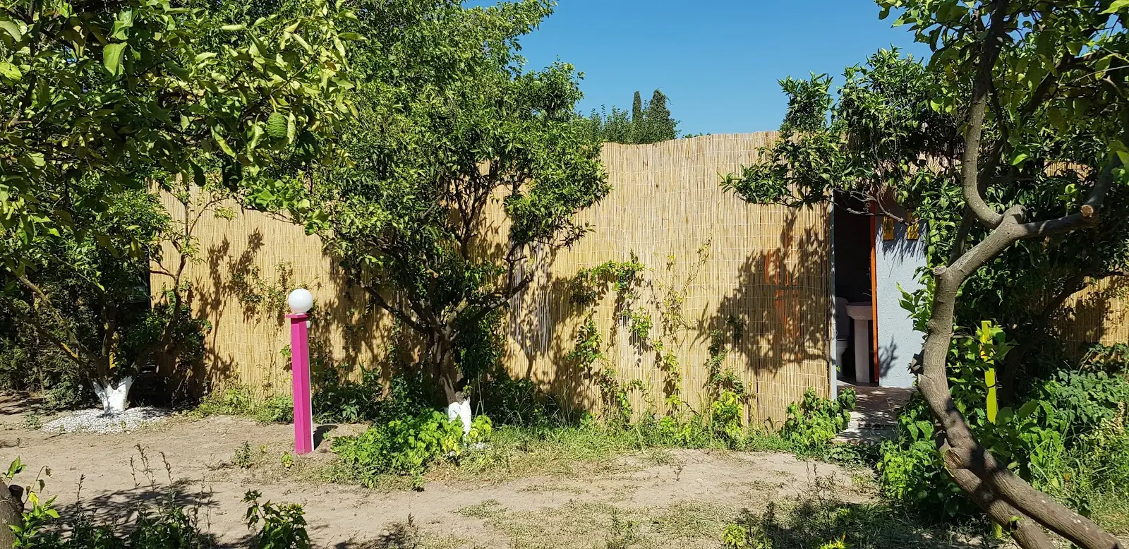 Begonvil Türkbükü - Fotoğraf 3