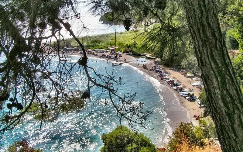 Turnalı Boncuk Camping - Fotoğraf 2