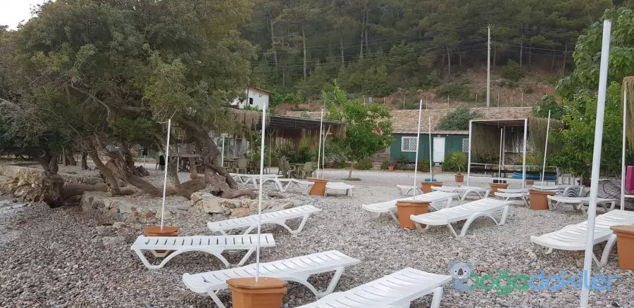 Turnalı Boncuk Camping - Fotoğraf 5