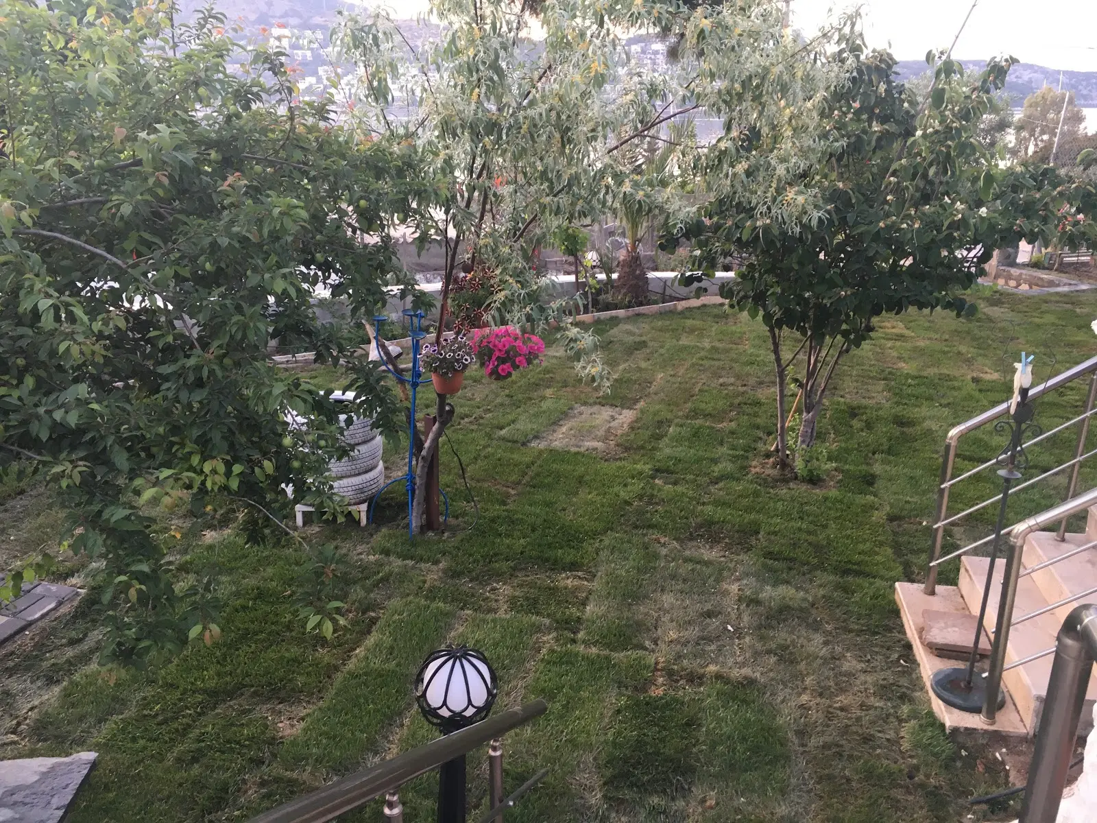 Bodrum Göltürkbükü Çadır Kamping - Fotoğraf 2