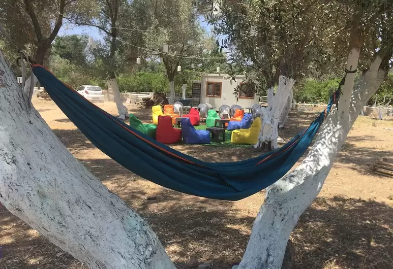 Bodrum Masalı Camping Fotoğrafı