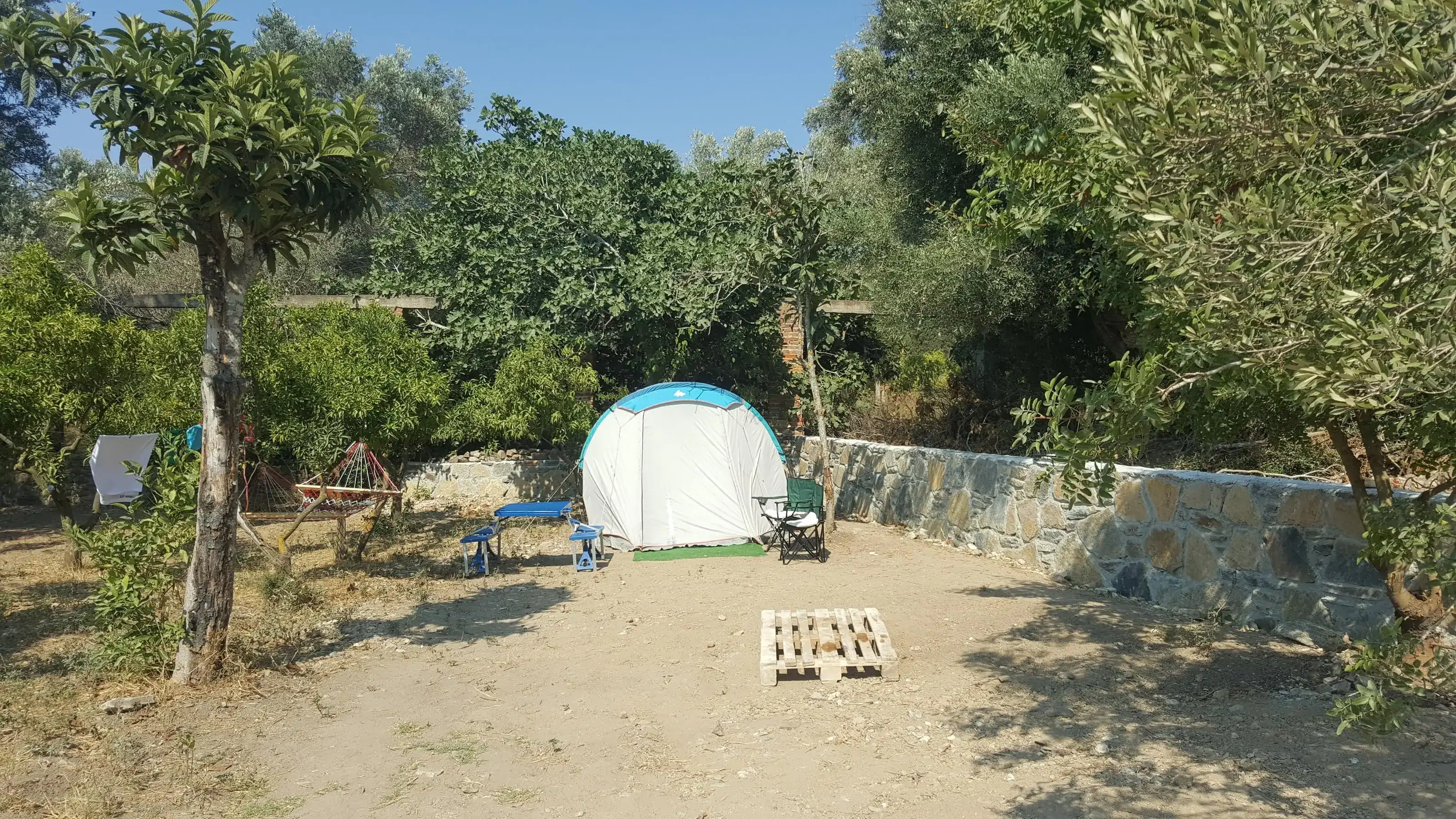 Bodrum Masalı Camping - Fotoğraf 5