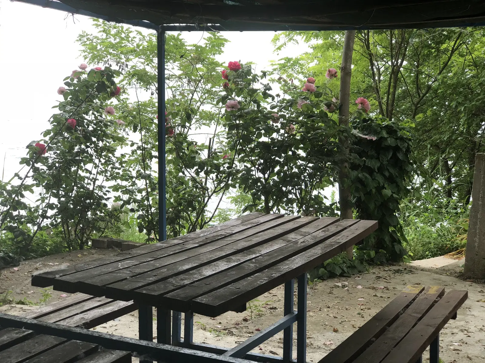 Ünal Camping - Fotoğraf 2