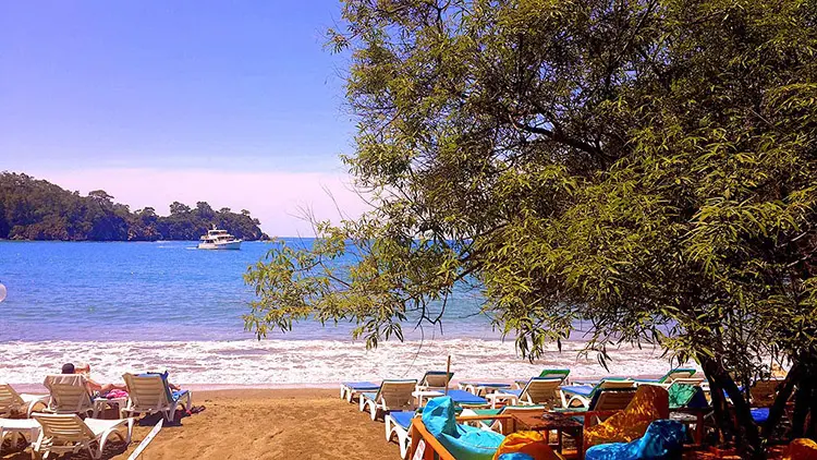 Katrancı Orman Kampı Fotoğrafı