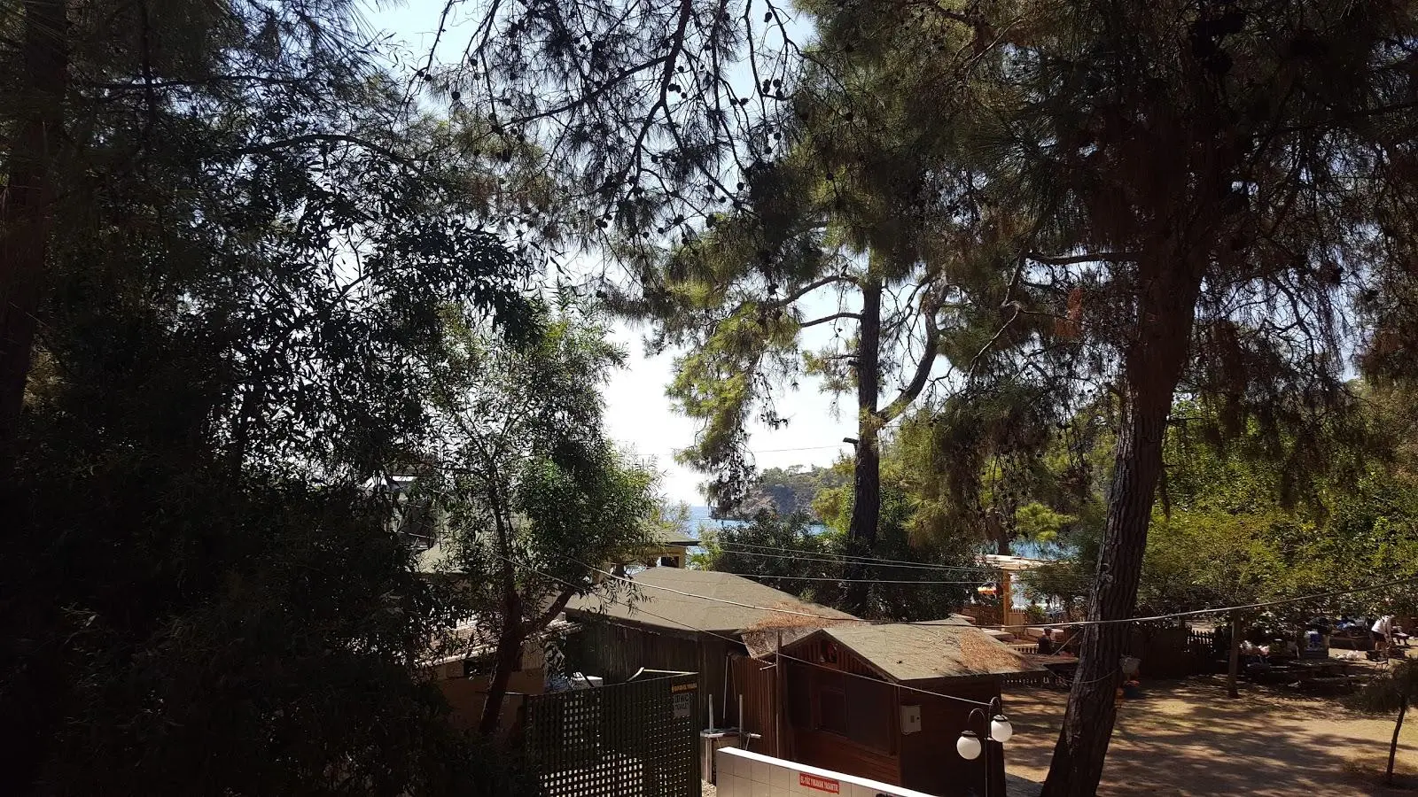 Katrancı Orman Kampı - Fotoğraf 2