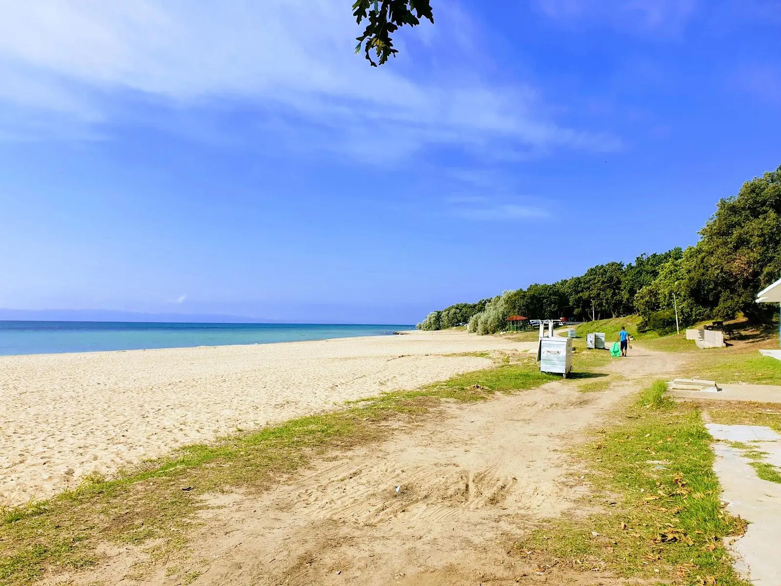 Danişment Orman Kampı - Fotoğraf 3