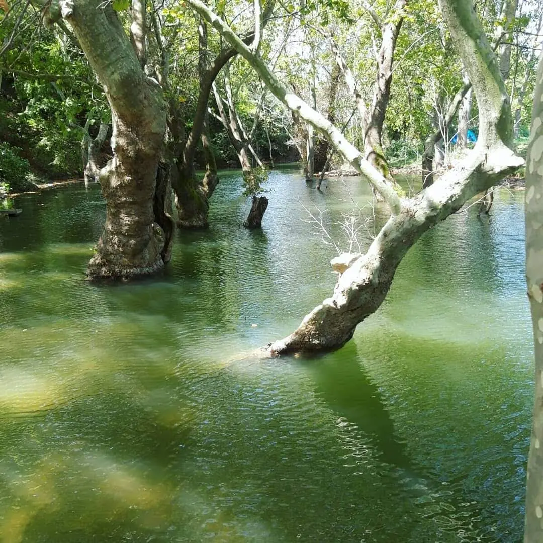 Demircioğlu Camping Fotoğrafı