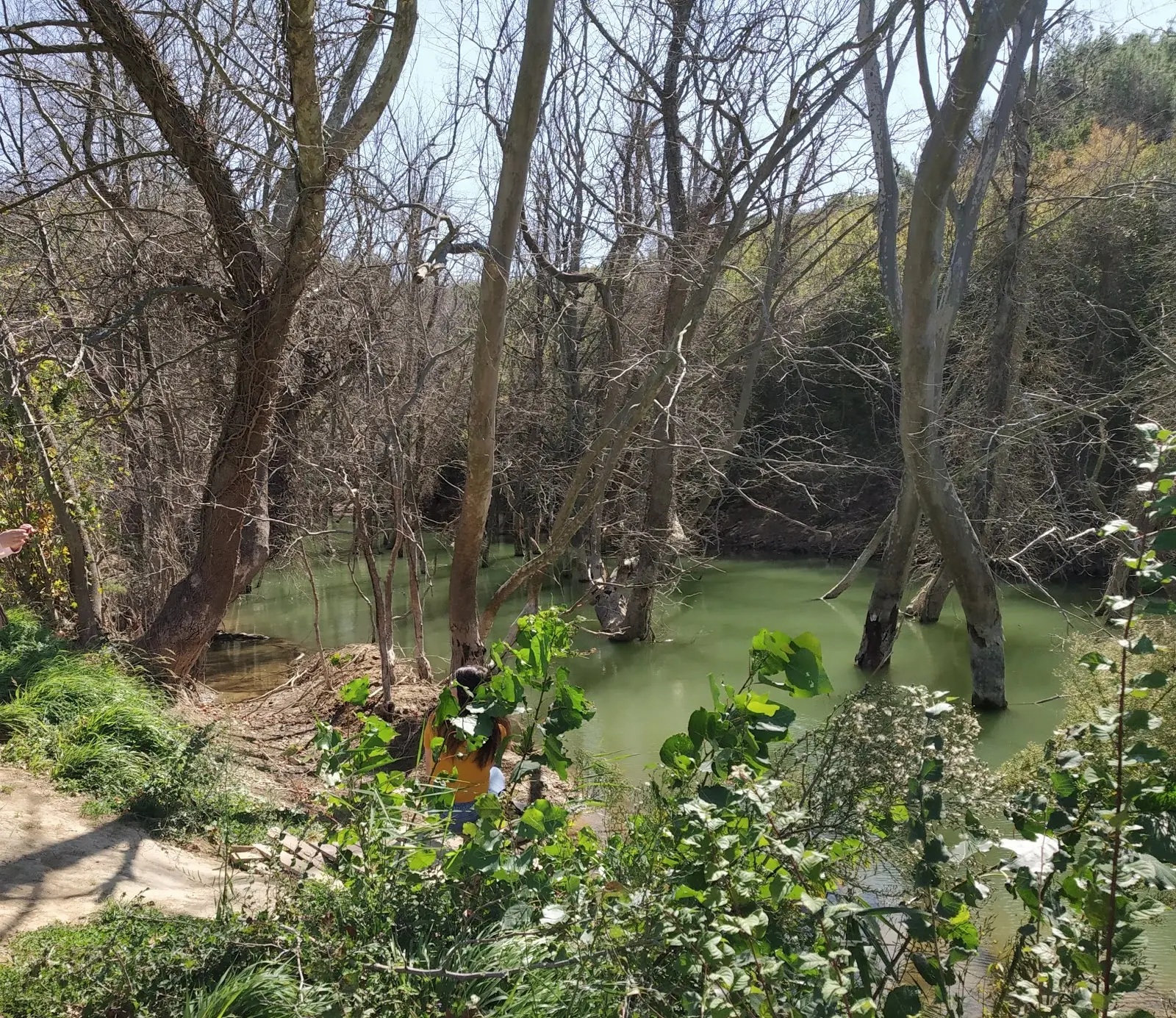 Demircioğlu Camping - Fotoğraf 3