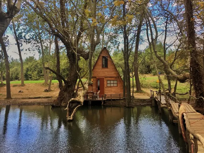 Demircioğlu Camping - Fotoğraf 4