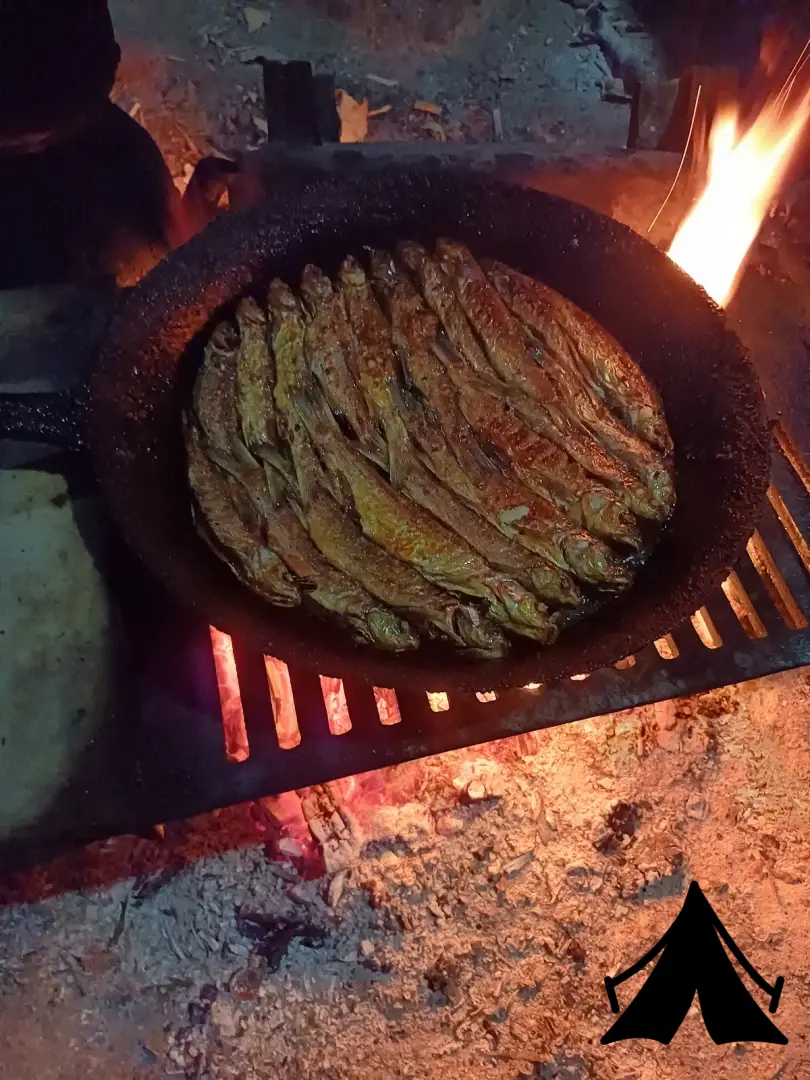 Gürkamp huzur Fotoğrafı