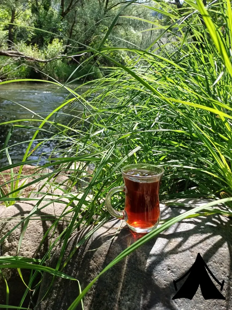 Gürkamp huzur Fotoğrafı