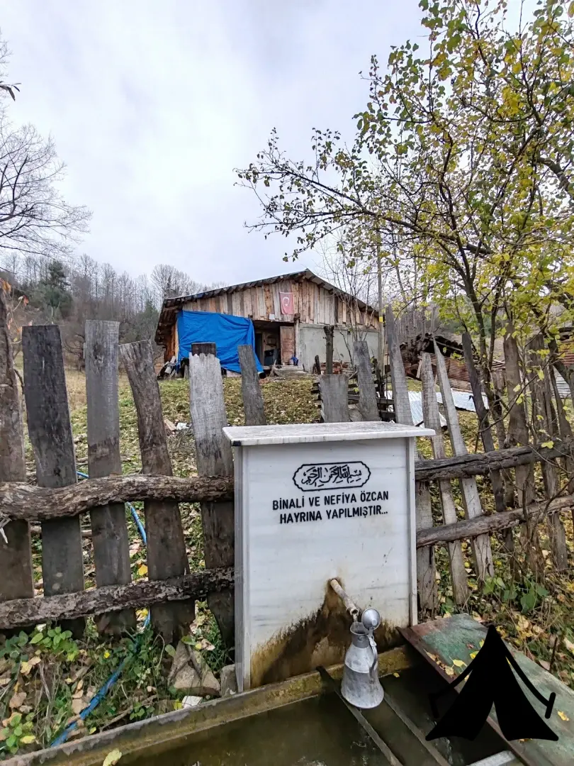 Kamp yeri