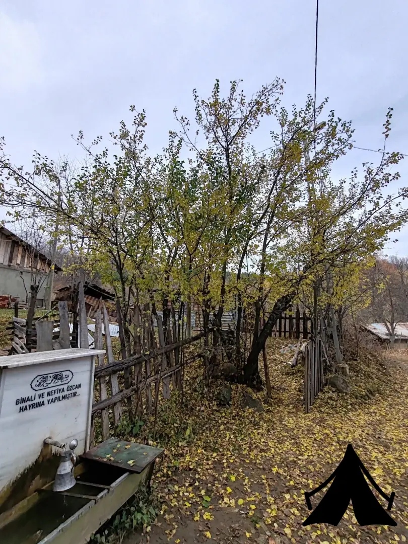 MEYDAN GÜMÜŞ EVİ KAMP ÇADIR ALANI Fotoğrafı