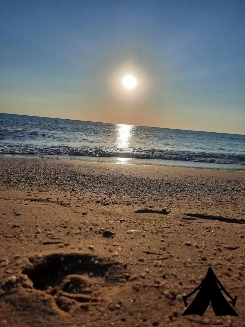 Kıyıköy Kamping (Kasımpaşalının yeri) Fotoğrafı