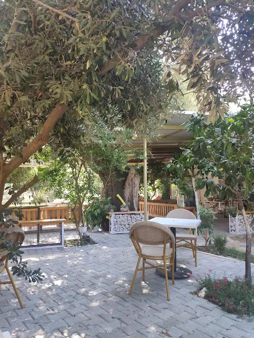 Kaş Harnup Camping - Fotoğraf 2