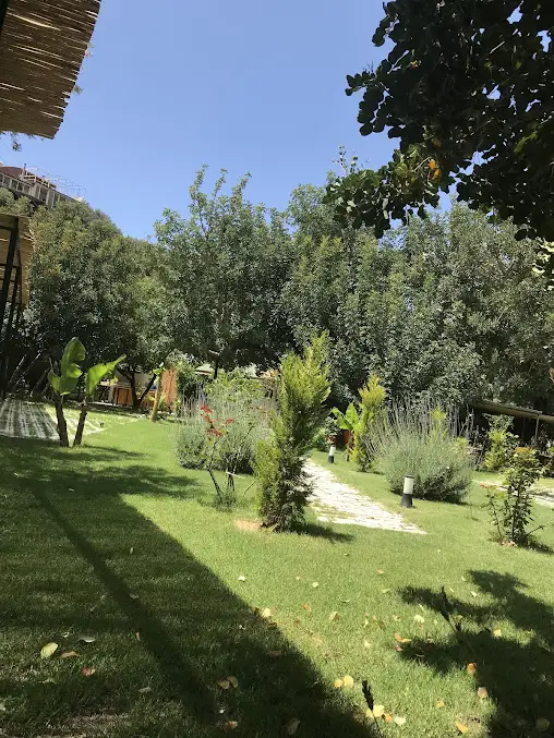 Kaş Harnup Camping - Fotoğraf 3