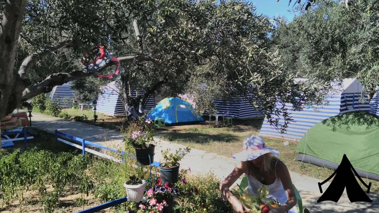 Neverland Camping Fotoğrafı