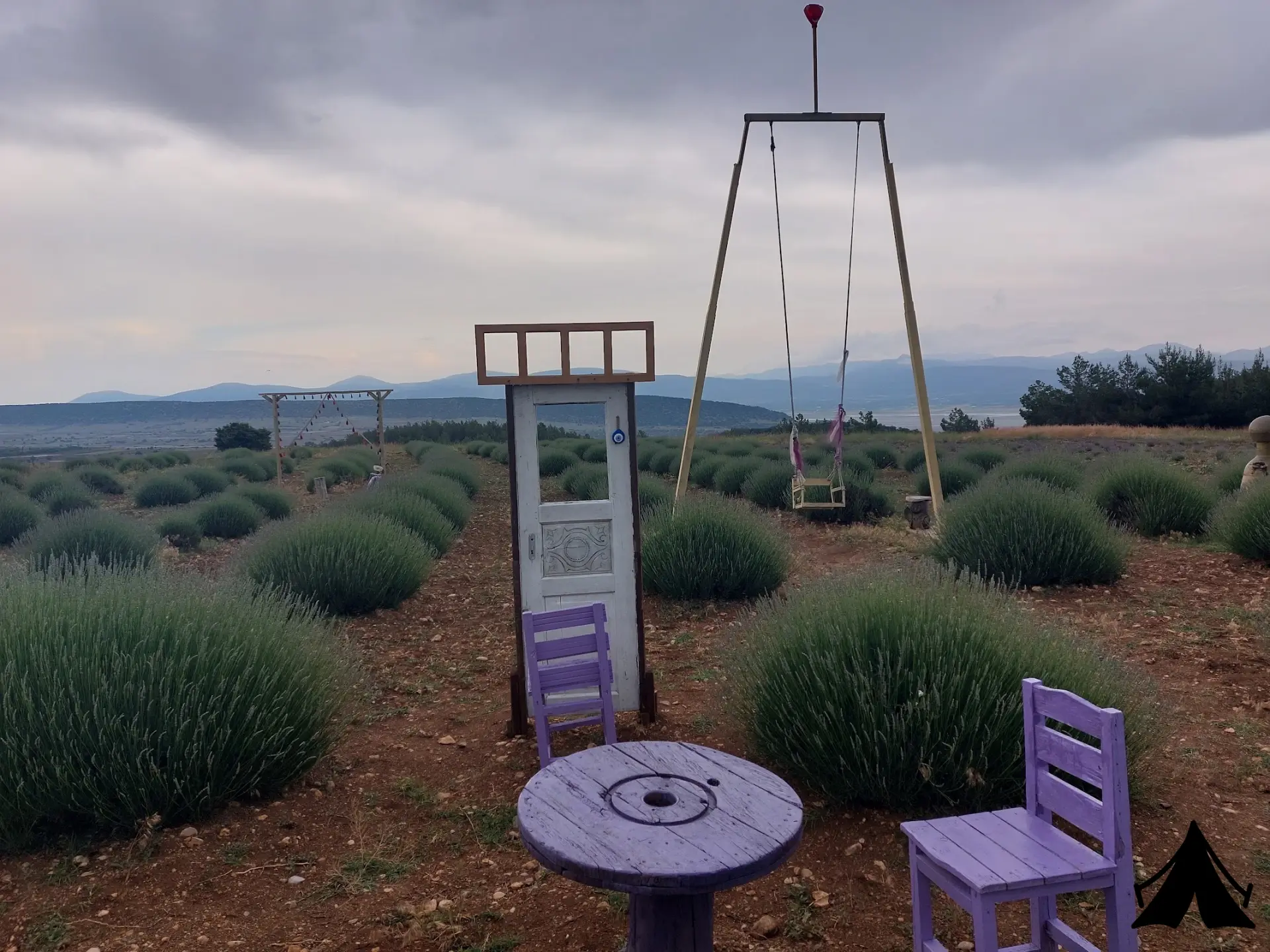 Panoramik Lavanta Çadırı Fotoğrafı
