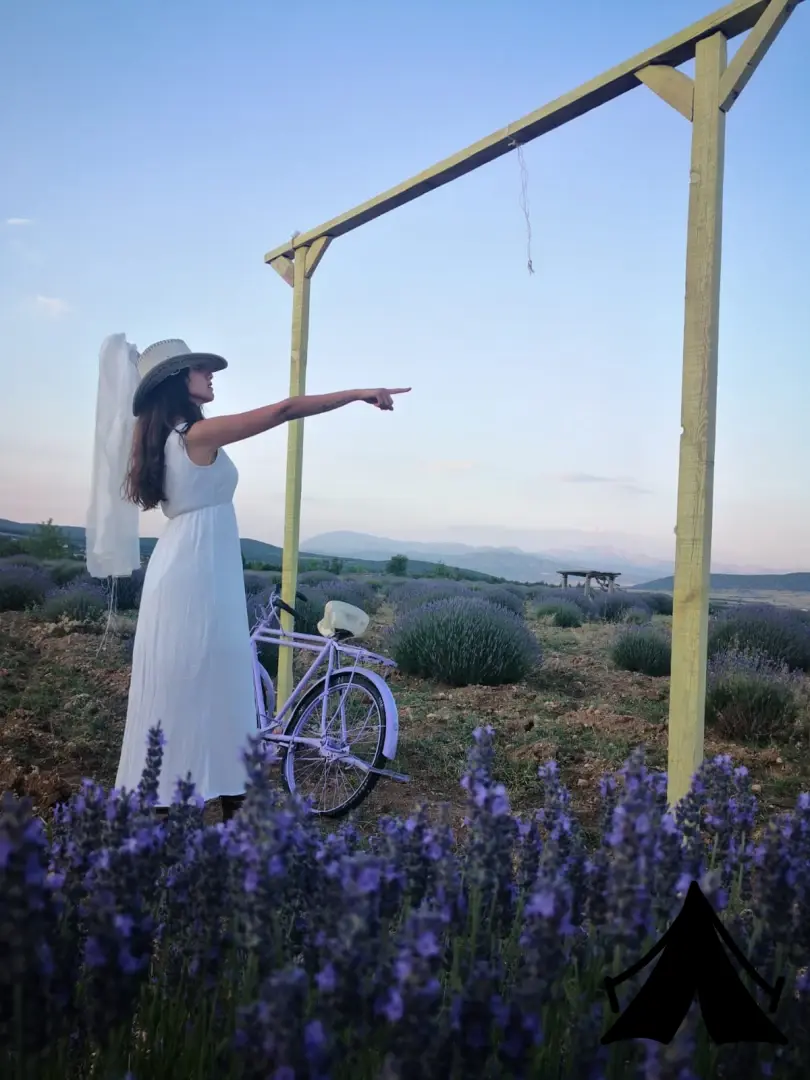 Panoramik Lavanta Çadırı Fotoğrafı