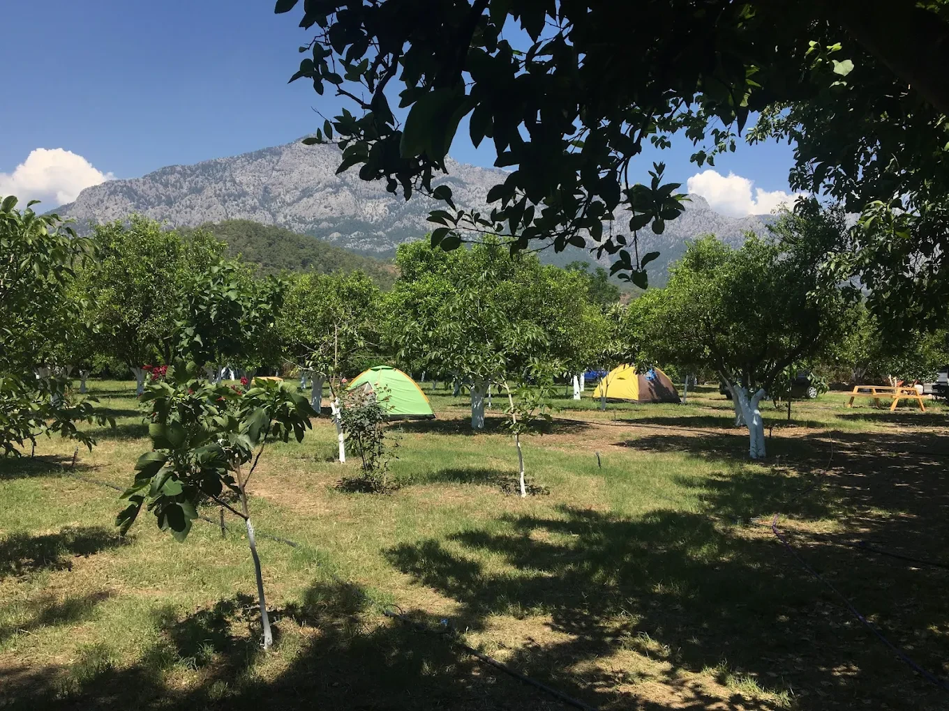 Bahçede kurulu renkli kamp çadırları