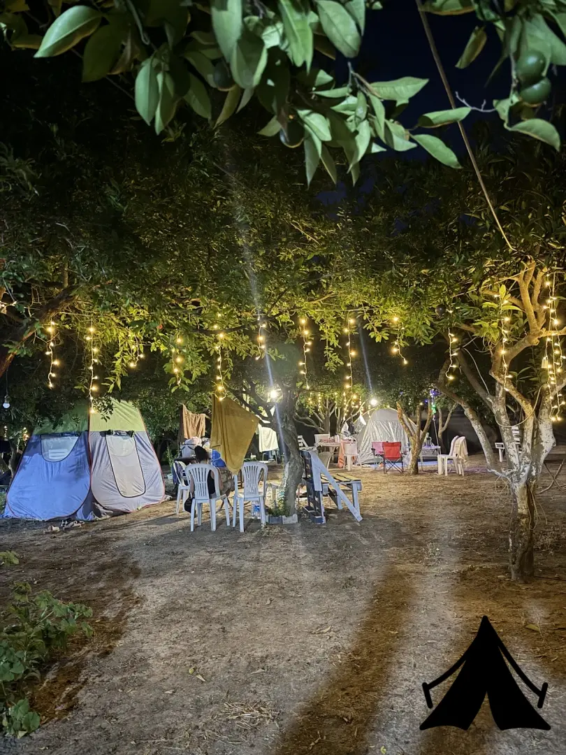 GONCA CAMPING ADRASAN Fotoğrafı