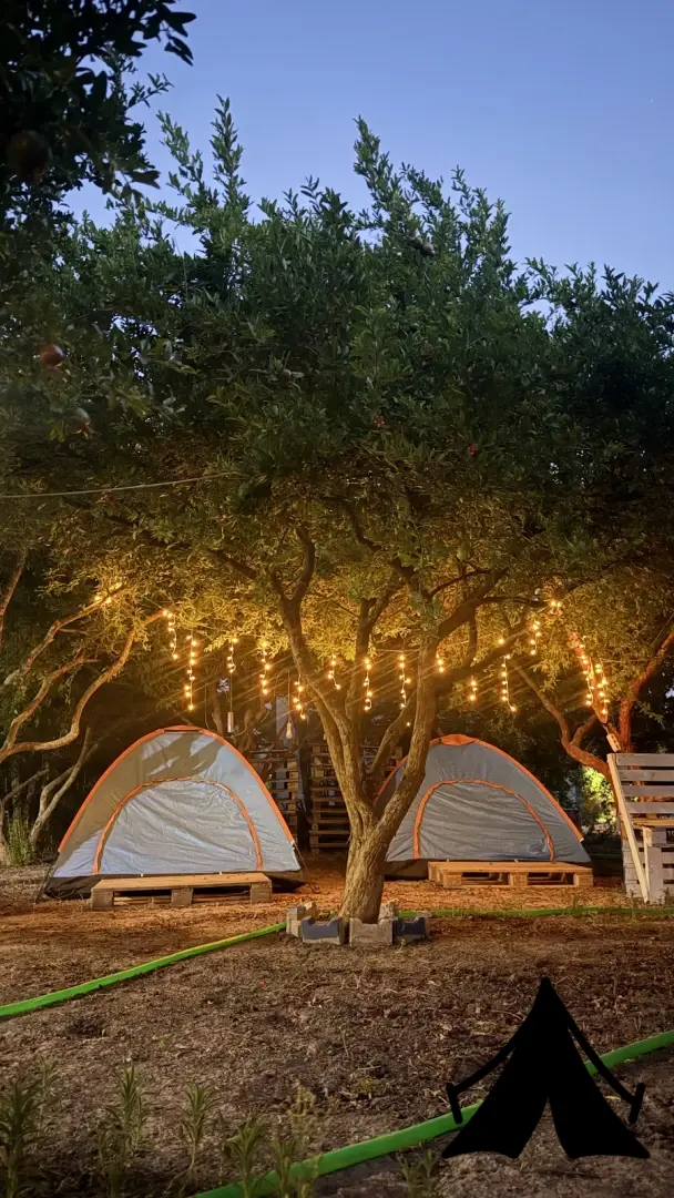 GONCA CAMPING ADRASAN Fotoğrafı