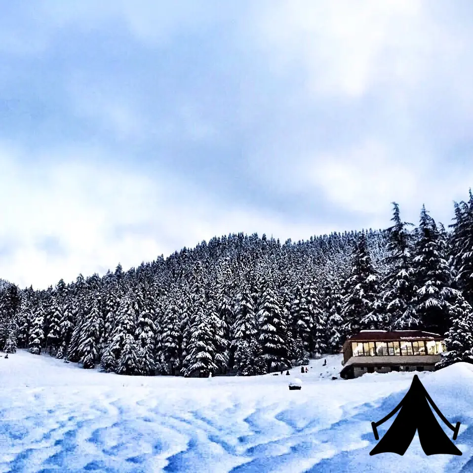 Başkonuş Yaylası Fotoğrafı