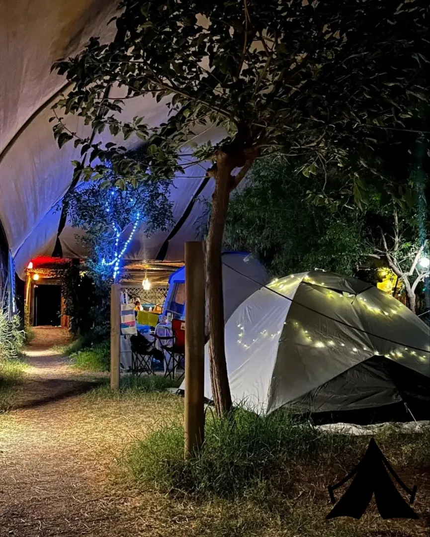 bambu kamp Fotoğrafı