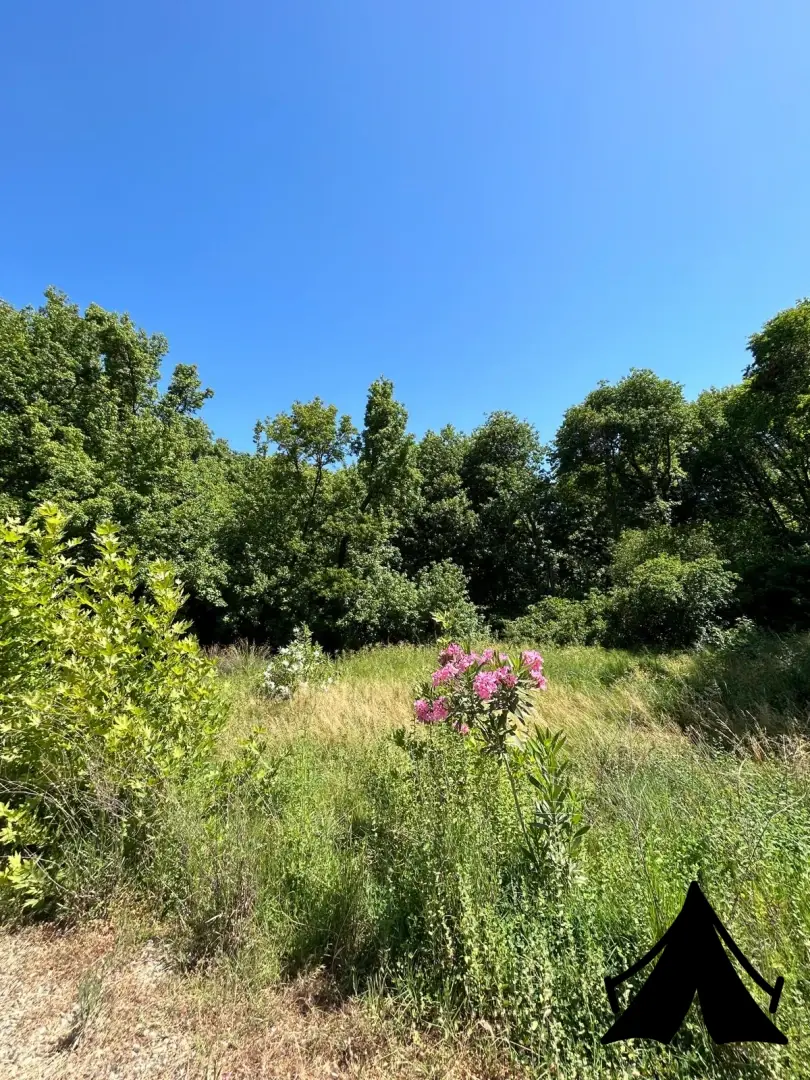 Abelya camping Fotoğrafı