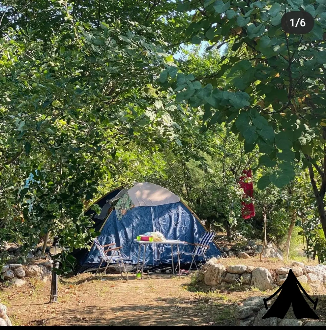 Havuzlu Bahçe Camping Fotoğrafı