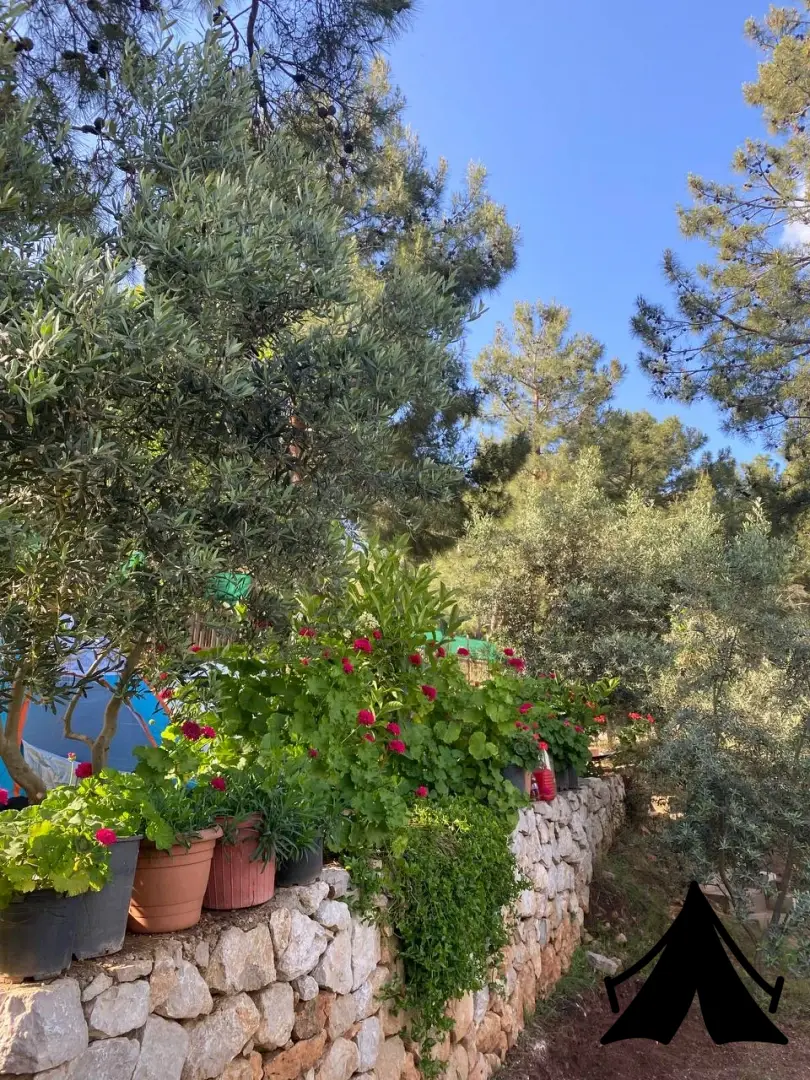 Fethiye Ölüdeniz Camping Fotoğrafı