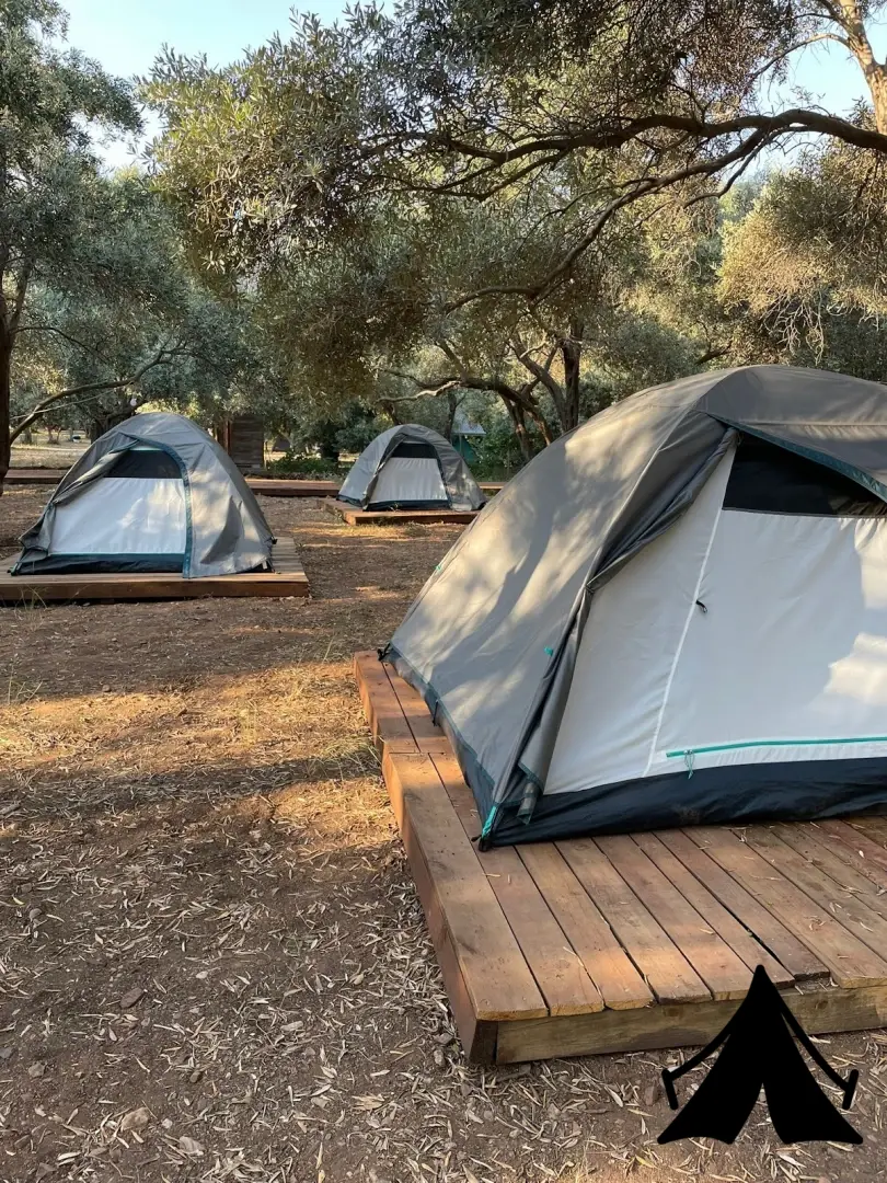Ekincik Dc Camping Fotoğrafı