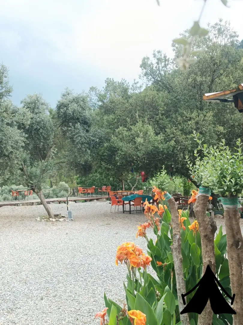 Es&amp;Es Camping Fotoğrafı